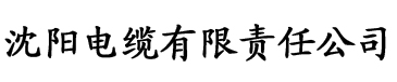 美美女免费高清毛片视频电缆厂logo